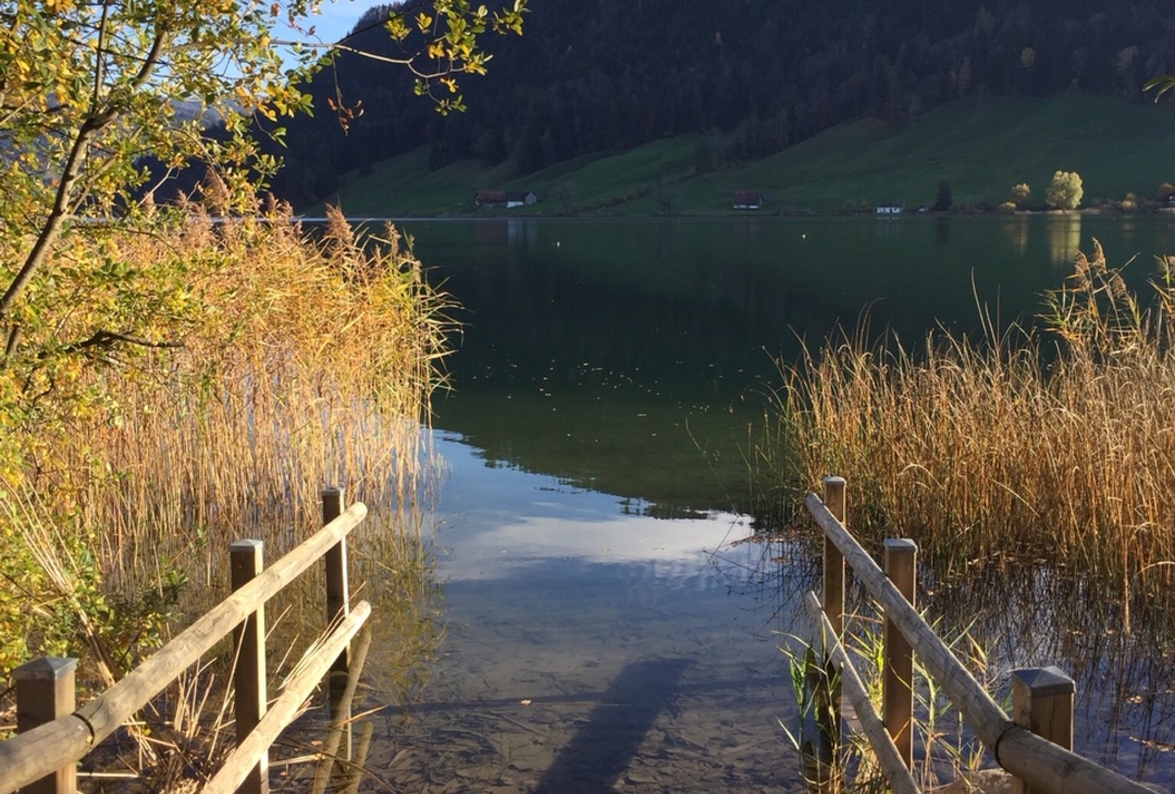 Swimming bay