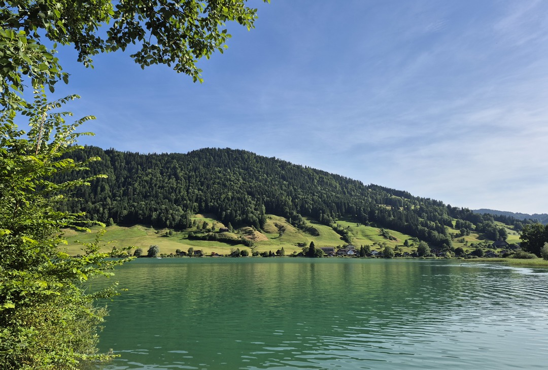 The lake shore